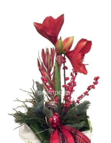Mazzo di fiori natalizio con amaryllis o altri fiori lunghi, bacche e abete, naturale o no