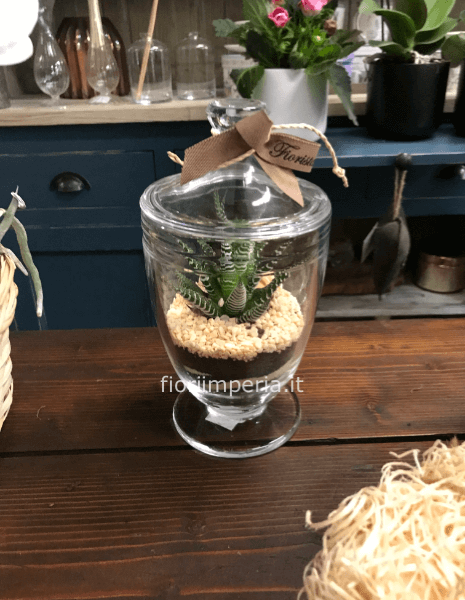 Terrarium