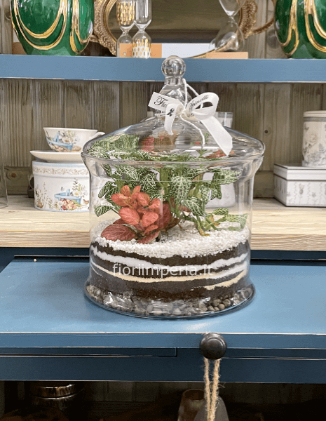 Terrarium