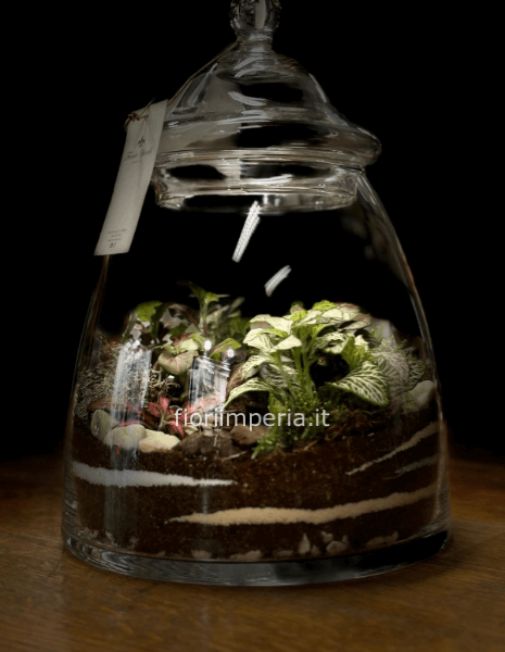 Terrarium