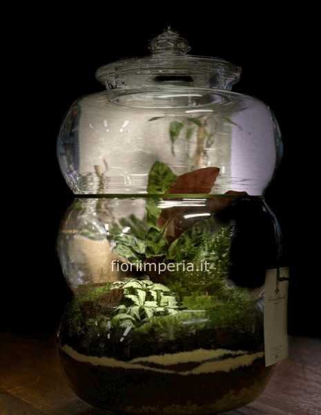 Terrarium naturale